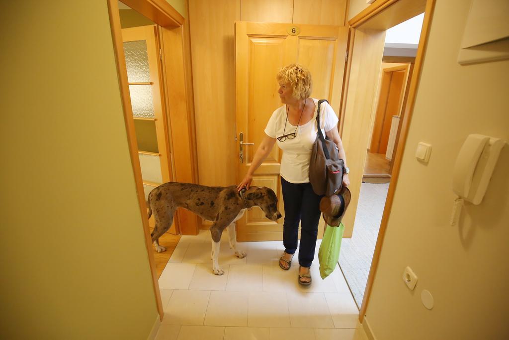 Villa Zubcic Zadar Zewnętrze zdjęcie